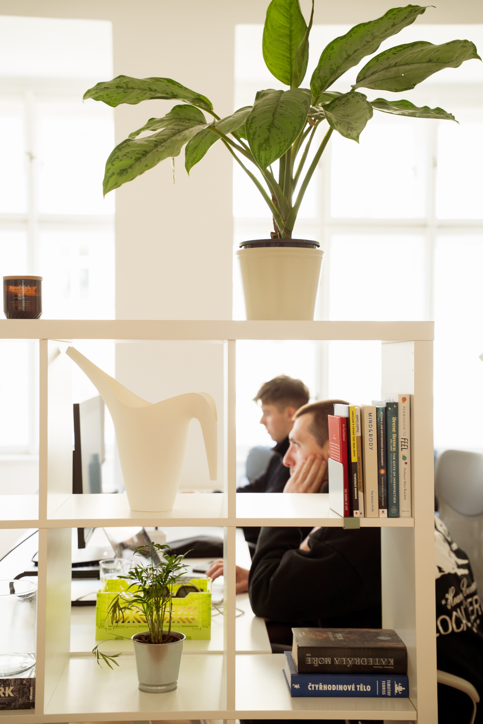 An office space with two people working at computers, surrounded by books and houseplants that create a pleasant and inspiring work atmosphere